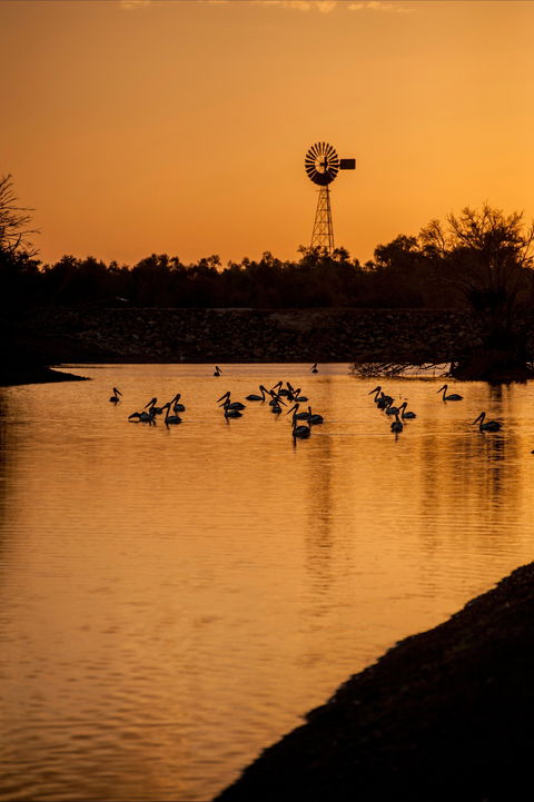 Thomson River, Longreach - Cruises Travel 2