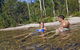 Tjaynera Falls (Sandy Creek) - thumb 0