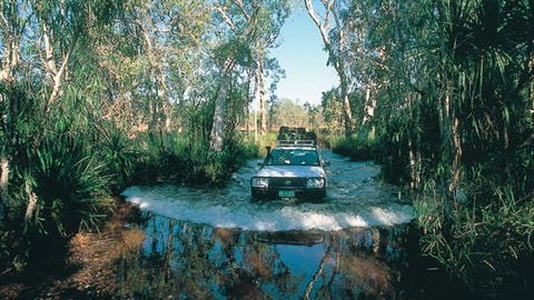 Tjaynera Falls (Sandy Creek) - Tourism Guide 1