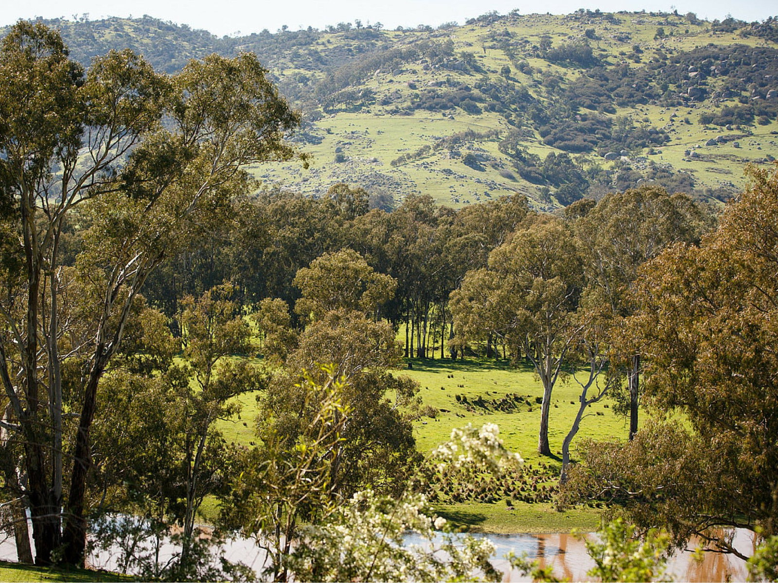 Trawool VIC Tourism Guide