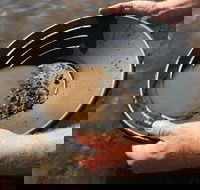 Tuena Panning for Gold - Travel Agents