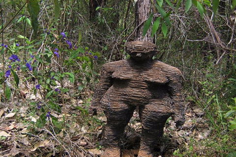 Understory Art In Nature - Tourism Guide 0