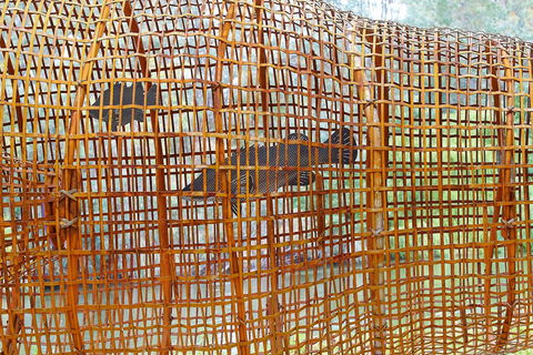Wagirra Trail And Yindyamarra Sculpture Walk - Tourism Guide 2