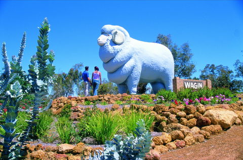Wagin - Tourism Guide 0