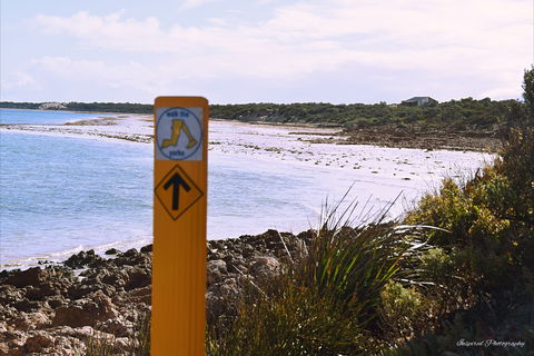 Walk The Yorke Trail - Tourism Guide 2