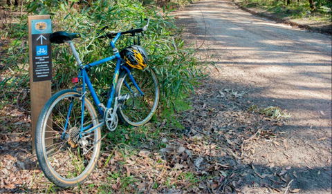 Walter Hood Ride From Cudmirrah - Tourism Guide 0