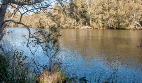 Wandandian Creek Picnic Area - Tourism Guide 0