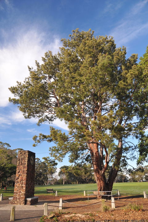 Wattle Park - Tourism Guide 2
