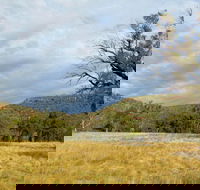 Weddin Mountains National Park - Cruises Travel