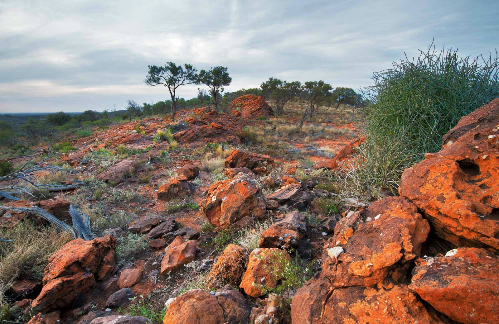 Mutawintji NSW Tourism Guide