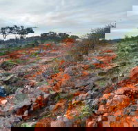 Western Ridge Walk - Tourism Guide