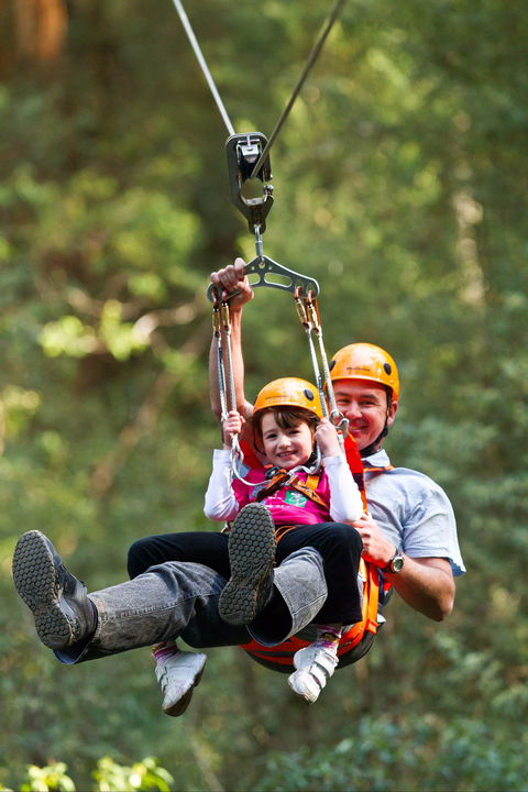 Zipline At Illawarra Fly - Tourism Guide 0