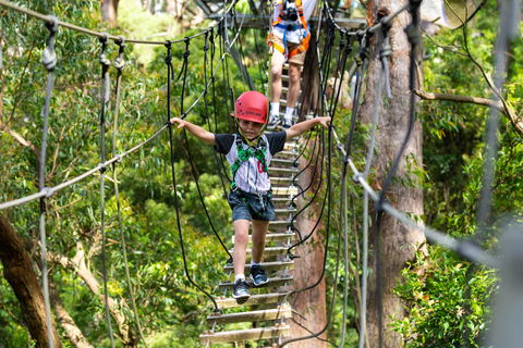 Zipline At Illawarra Fly - Tourism Guide 1