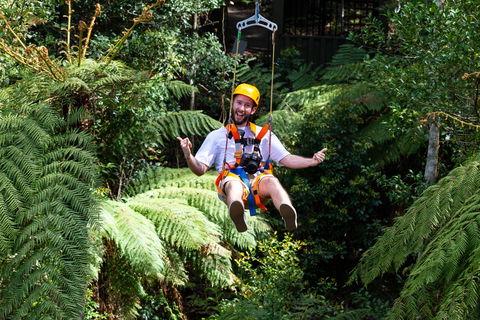 Zipline At Illawarra Fly - Tourism Guide 2