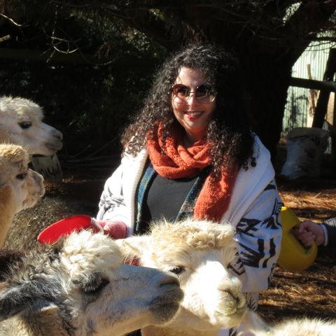 Alpaca Farm Experience At Crookwell - Tourism Guide 1