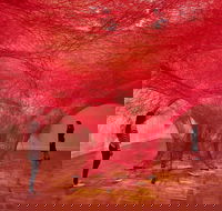 Art Gallery of South Australia - Tourism Guide