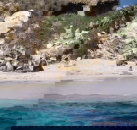 Australian Sea Lions - Tourism Guide