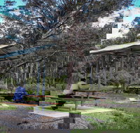 Barrington Tops State Forest - Travel Search