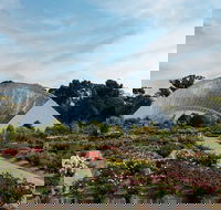 Bicentennial Conservatory - Tourism Guide