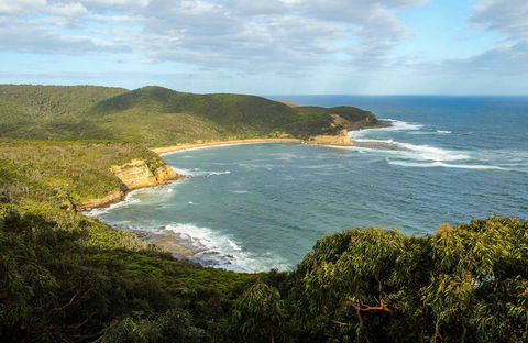 Bullimah Spur Track - Tourism Guide 0