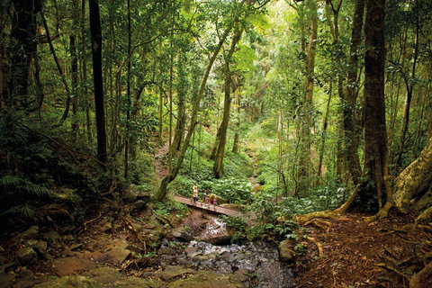 Bunya Mountains National Park - Travel Agents 1