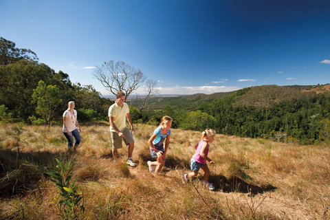 Bunya Mountains National Park - Travel Agents 2