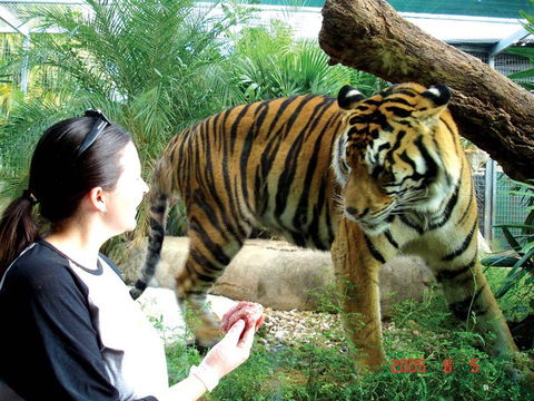 Crocodylus Park And Zoo - Tourism Guide 2