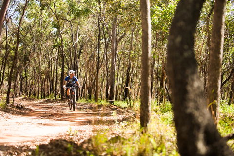 Davies Creek Mountain Bike Park - Tourism Guide 1