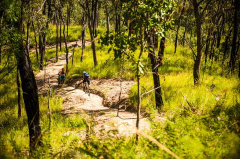 Davies Creek Mountain Bike Park - Tourism Guide 2