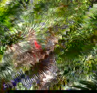 Depot Beach Rainforest Walk - Tourism Guide