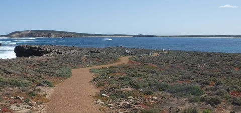 Elliston Coastal Trail - Tourism Guide 0