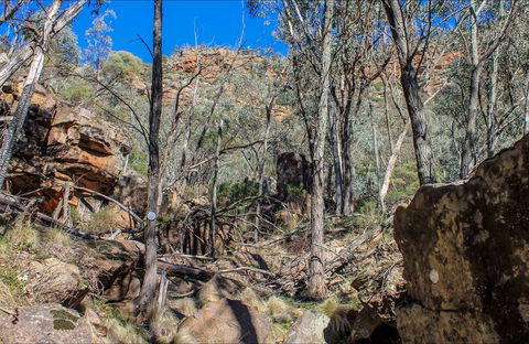 Eualdrie Walking Track - Tourism Guide 0