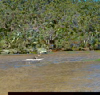 Fitzpatrick Park - Tourism Guide