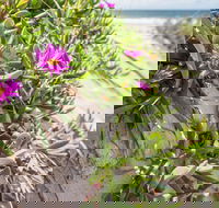 Fort Bribie - Tourism Guide