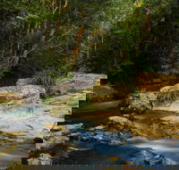 Jumrum Creek Walk Jumrum Creek Conservation Park - Tourism Guide