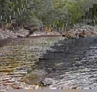 Lake Rowallan - Tourism Guide