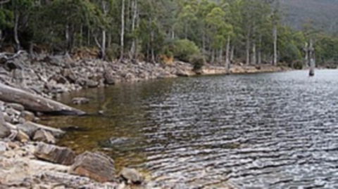 Lake Rowallan - Tourism Guide 0