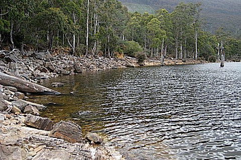 Lake Rowallan - Tourism Guide 1