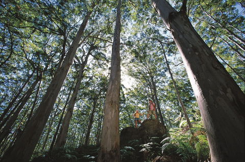 Leeuwin-Naturaliste National Park - Leeuwin - Tourism Guide 0