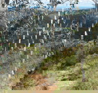 Mount Towac Walk - Travel Agents