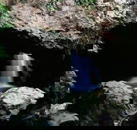 Natural Bridge Circuit Springbrook National Park - Tourism Guide