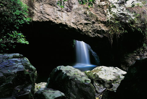 Natural Bridge Circuit, Springbrook National Park - Travel Agents 0