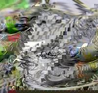 Nelly's Niche - Travel Agents