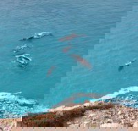 Nullarbor National Park - Tourism Guide