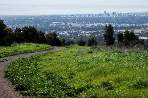 O'Halloran Hill Recreation Park - Tourism Guide 0