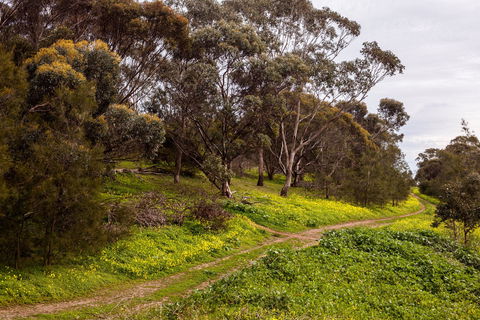 O'Halloran Hill Recreation Park - Tourism Guide 1