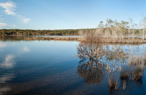 Pattimores Lagoon - Tourism Guide 0