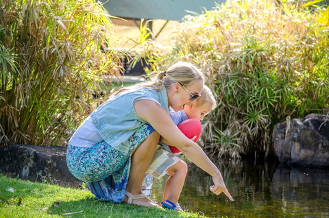 Queens Park Waterfall - Travel Agents 2