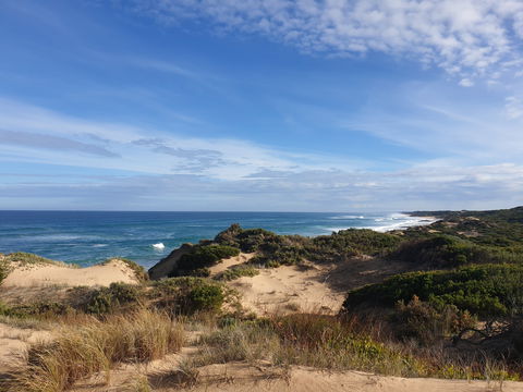 Rye Ocean Beach - Tourism Guide 0