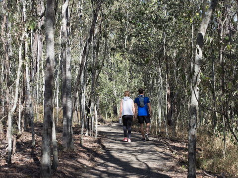 Six Mile Creek, Bluff Lookout And Little White Rock Trails - Tourism Guide 0